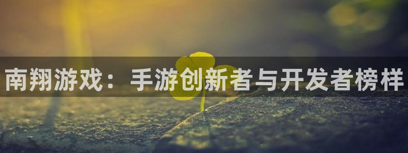 28大神app下载苹果：南翔游戏：手游创新者与开发者榜样