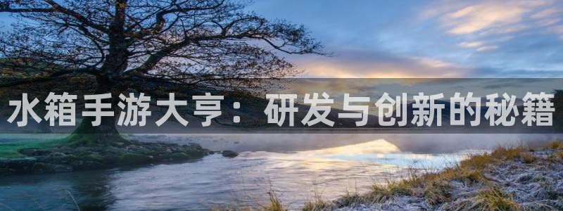 大神2966528：水箱手游大亨：研发与创新的秘籍
