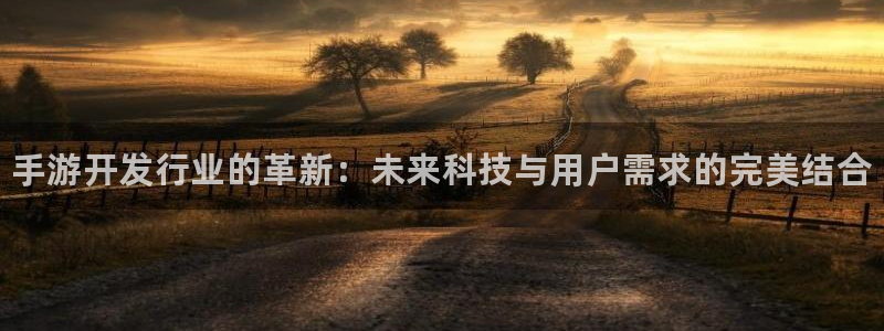 28大神安卓老版下载地址：手游开发行业的革新：未来科技与用户