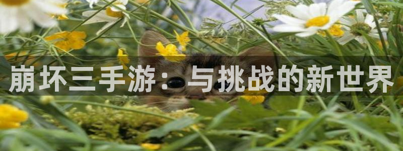 28大神新版：崩坏三手游：与挑战的新世界