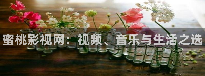皮特影院在线观看皮特电影
