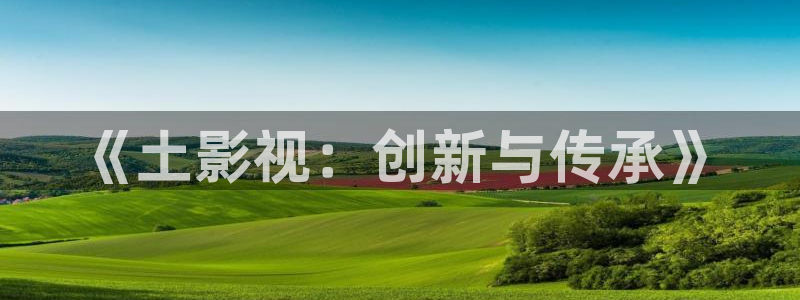 皮特电影高清