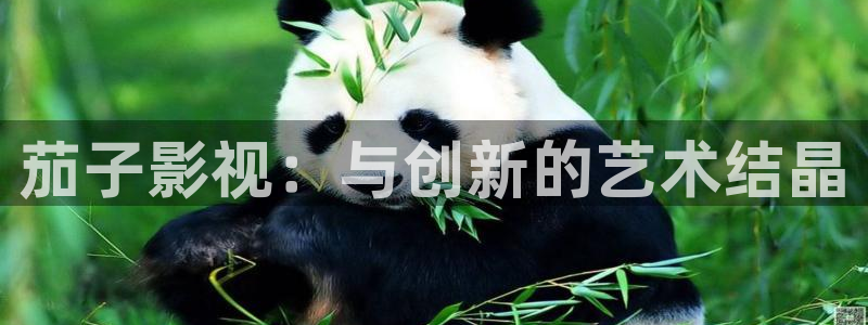 电影通皮特电影