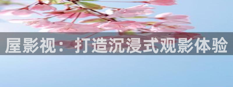 皮特影院在线电影免费播放