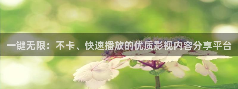 皮特影院73
