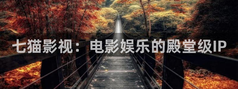 皮特电影在线观看