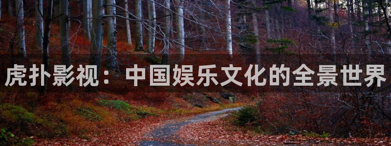 皮特电影皮特电影院