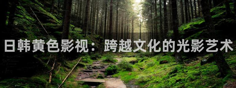 皮特影视大全免费观看