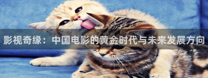 皮特影院蜜桃